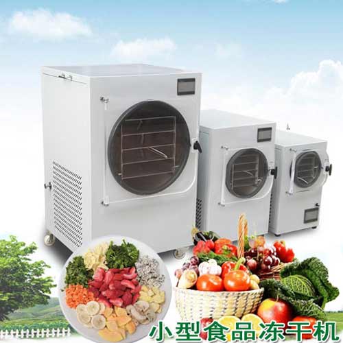 小型食品凍干機(jī)