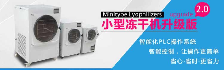 食品凍干機(jī) 小型食品凍干機(jī)