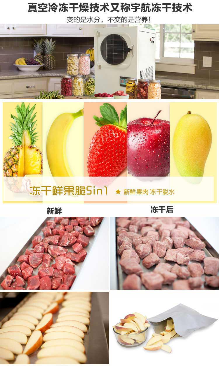 食品凍干機(jī) 小型食品凍干機(jī)