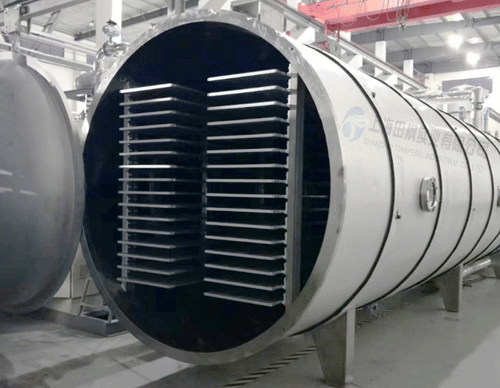 芒果榴蓮冷凍干燥生產(chǎn)線設(shè)計(jì)，水果冷凍干燥機(jī)