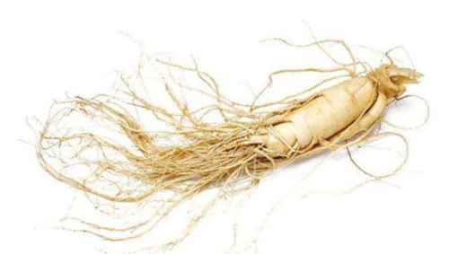 16230343034530.png 田楓1.1.png