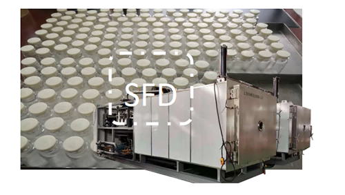 16279524352962.png 圖片41.1.png