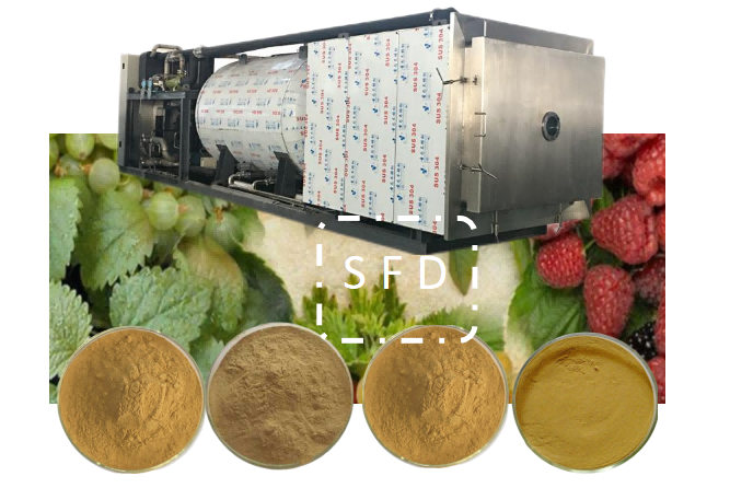 16288375952323.png 圖片49.1.png