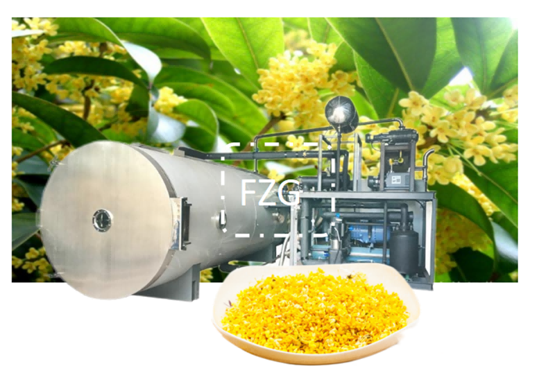 16291858334477.png 圖片51.2.png