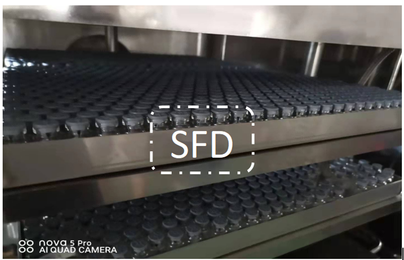 16316003567530.png 圖片71.1.png