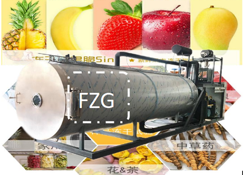 食品真空冷凍干燥機(jī)技術(shù)優(yōu)勢