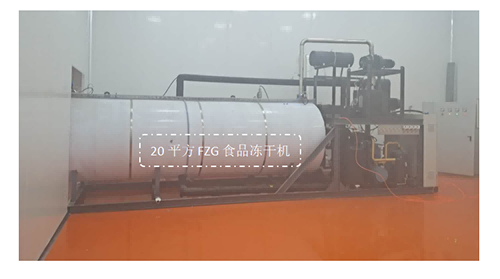 20平方食品凍干機制造工藝和應(yīng)用