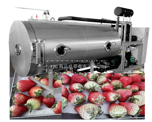 整顆草莓凍干加工方法和凍干機設(shè)備選擇