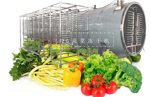 蔬菜凍干機工作原理和結(jié)構(gòu)組成