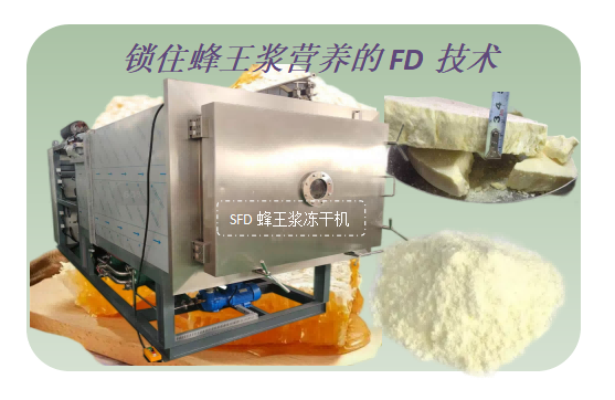 蜂王漿凍干機(jī)在蜂王漿凍干粉加工技術(shù)優(yōu)勢(shì)
