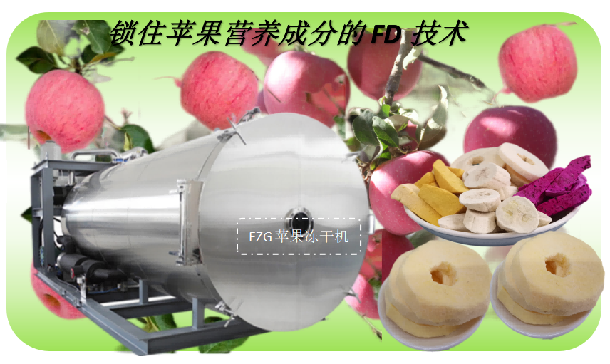 蘋(píng)果凍干技術(shù)和蘋(píng)果凍干機(jī)生產(chǎn)線