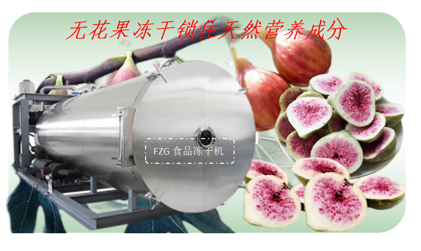 無(wú)花果凍干產(chǎn)品和食品凍干機(jī)原理