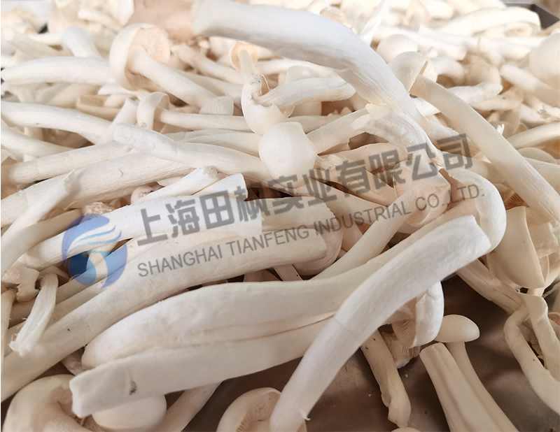 16519876756540.png 圖片33.1.png