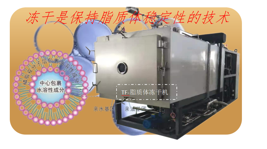 脂質體凍干技術和脂質體凍干機要求