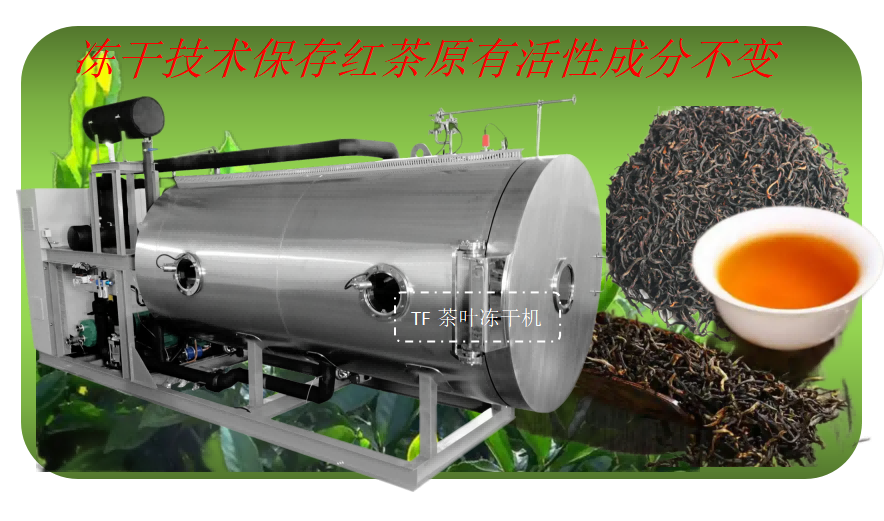 茶葉凍干機(jī)在紅茶凍干加工應(yīng)用