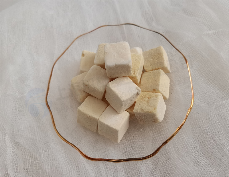 酸奶塊凍干，食品凍干機應用于酸奶真空冷凍干燥