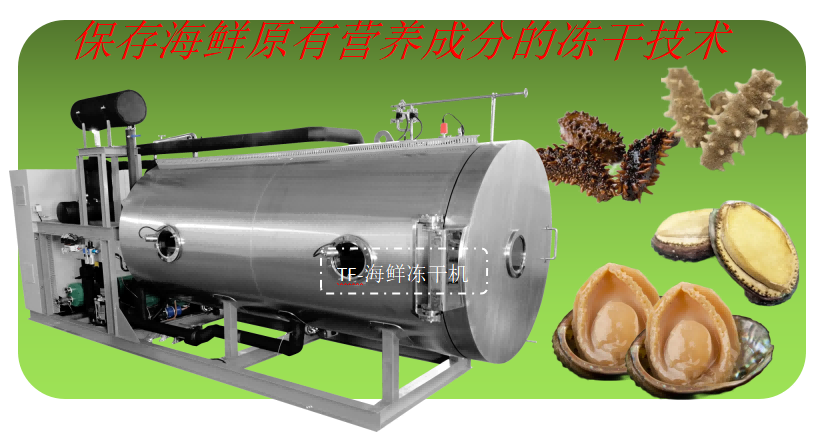 海參鮑魚凍干技術(shù)和海鮮食品凍干機(jī)