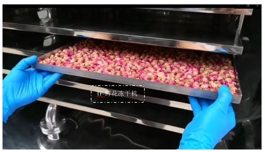 16602686924266.png 圖片153.2.png