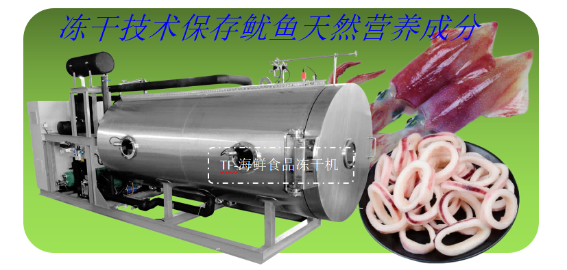 海鮮食品凍干機在魷魚凍干加工生產(chǎn)