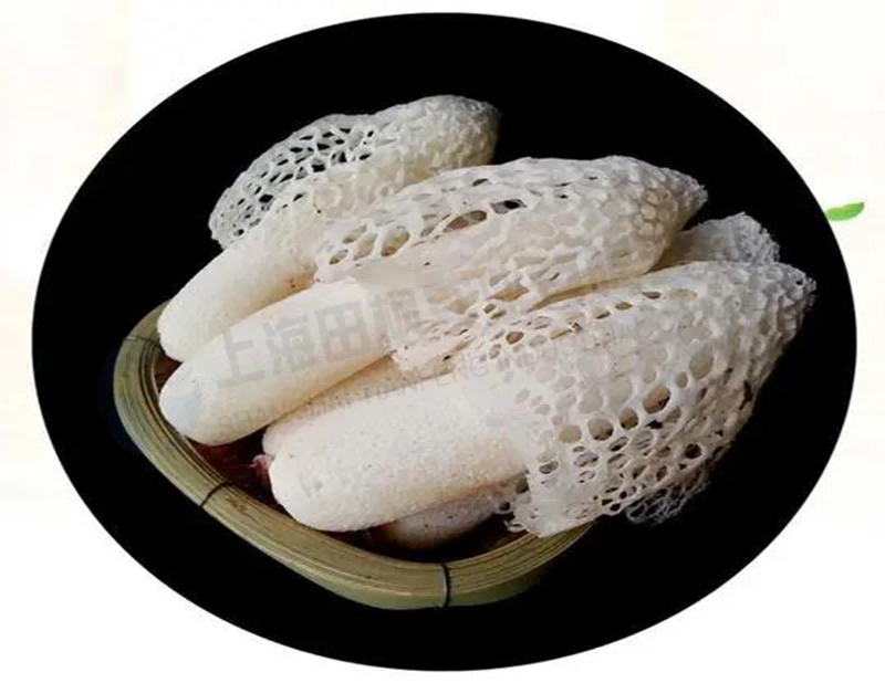 16626183786798.png 圖片105.png