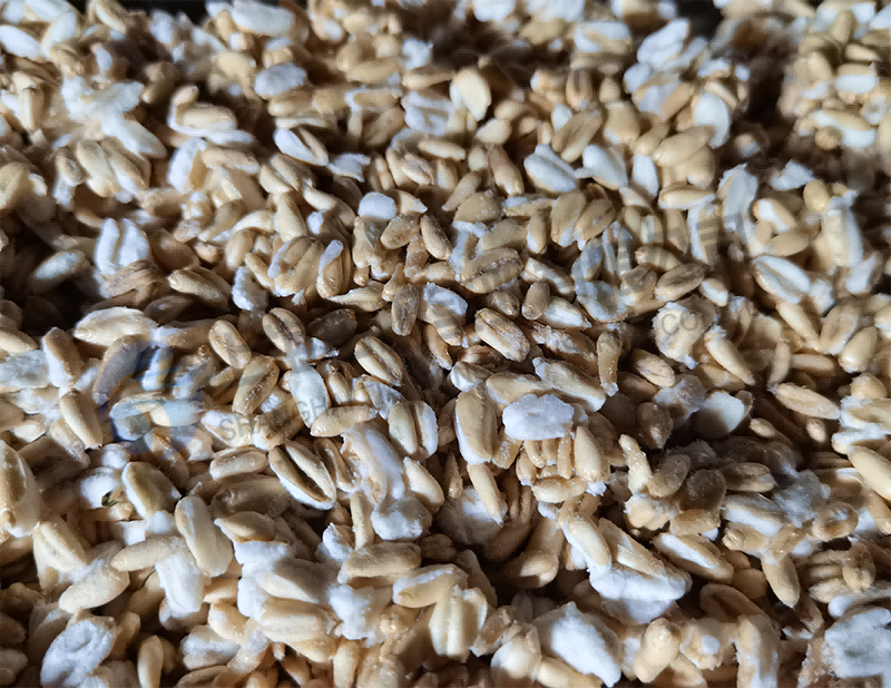 16630363445140.png 圖片107.png