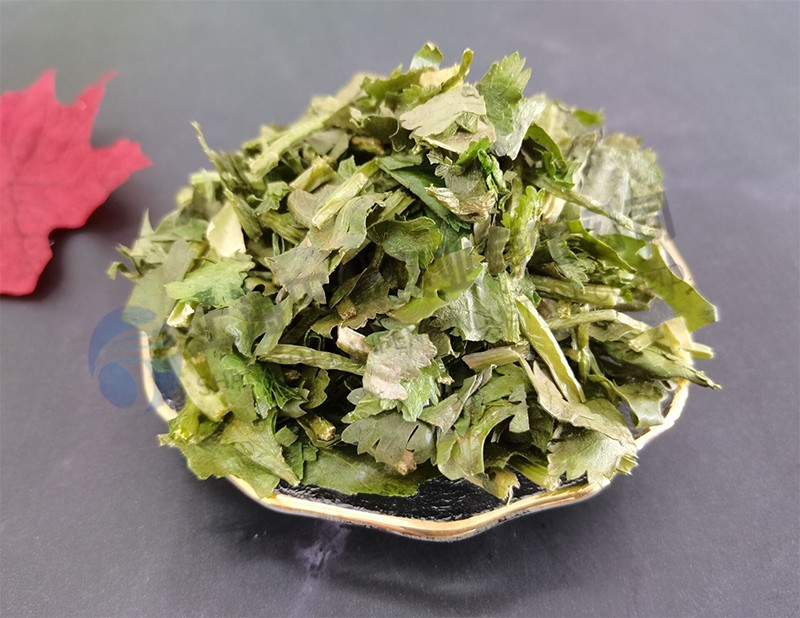 16638096823158.jpg 香菜.jpg