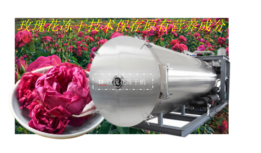 16695946729725.png 圖片1.png