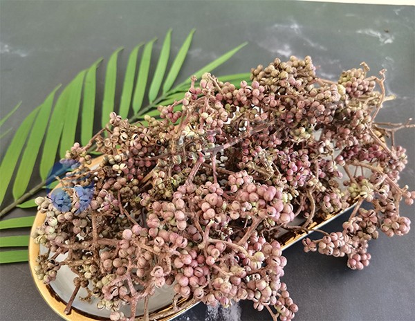 花椒凍干：食品真空冷凍干燥機(jī)應(yīng)用于調(diào)味品凍干