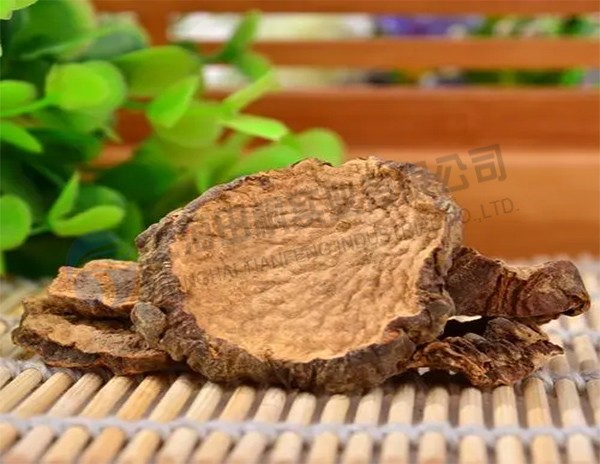 16710735548851.jpg 田楓.jpg