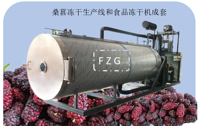 16770265435443.png 1.png