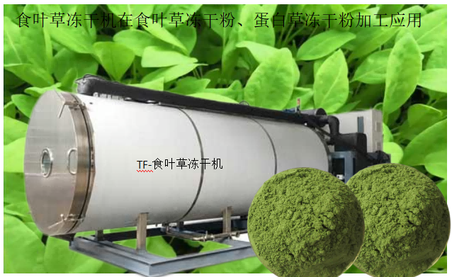 16792747076870.png 1.png