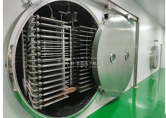 16794458702301.png 食品凍干機(jī)2.png