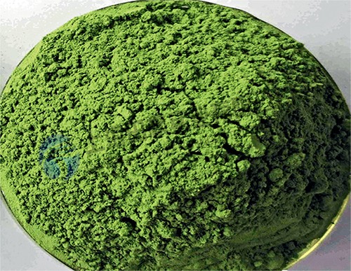 16811802929896.jpg 田楓.jpg