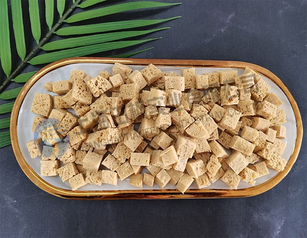 凍干面筋：食品凍干機(jī)應(yīng)用于面筋真空冷凍干燥機(jī)