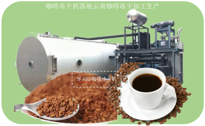 咖啡凍干機落地云南咖啡凍干加工生產