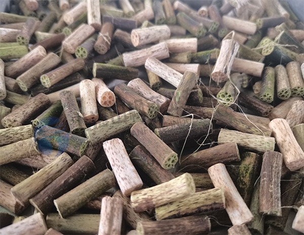 荷梗凍干：小型食品真空冷凍干燥機(jī)應(yīng)用及介紹