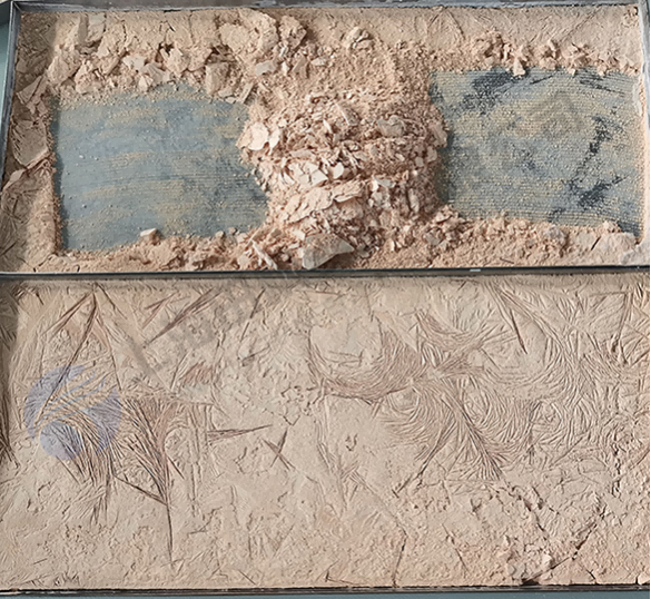 新材料凍干機(jī)：生物制品冷凍干燥技術(shù)應(yīng)用案例