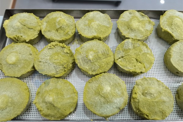 16951077532379.jpg 蔬菜餅.jpg