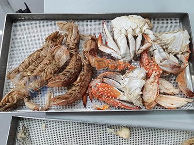 16954368142518.jpg 凍干海鮮2.jpg