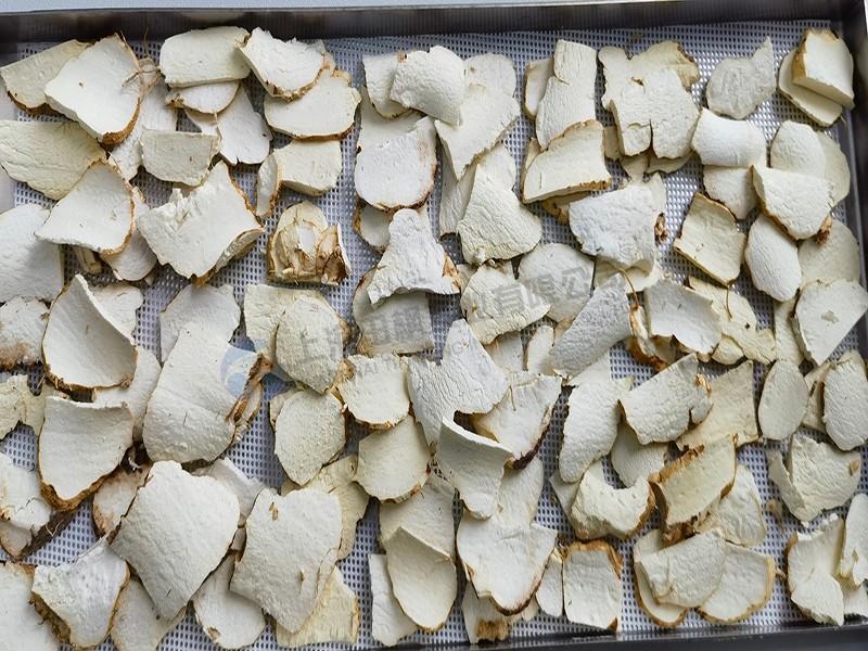 16966457271288.jpg 田楓黃精.jpg