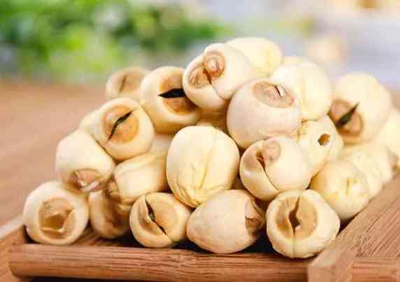 16993392488478.jpg 蓮子.jpg