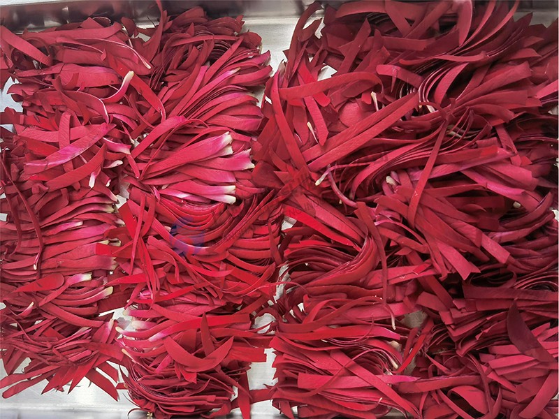 17007026899975.jpg 田楓玫瑰花瓣.jpg