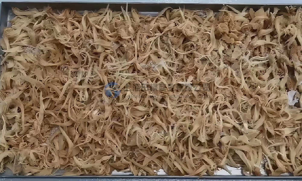 17011406243386.jpg 田楓凍干猴頭菇.jpg