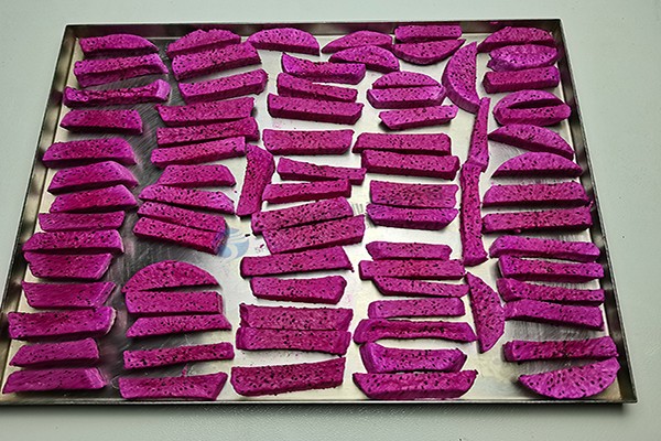 17029742603506.jpg tf火龍果.jpg