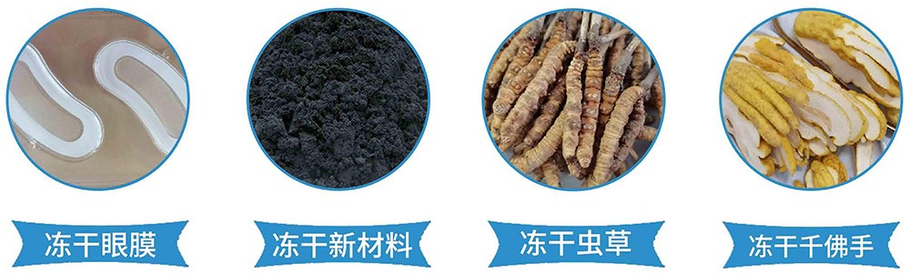 17031464122310.jpg 17031464122310.jpg