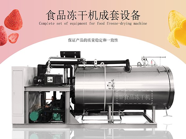 芒果巧克力凍干機(jī)、草莓酸奶冷凍干燥機(jī)、上海田楓食品凍干機(jī)成套設(shè)備解決方案
