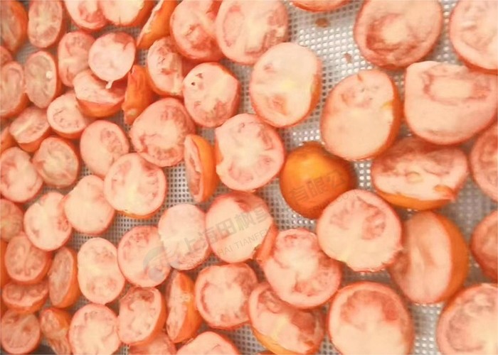 圣女果凍干:食品真空冷凍干燥機應用果蔬凍干