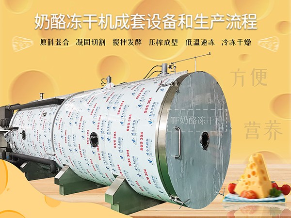 冷凍干燥機|凍干機|真空冷凍干燥機|大型冷凍干燥機|食品凍干機|制藥真空冷凍干燥機|食品凍干設備|制藥冷凍干燥機