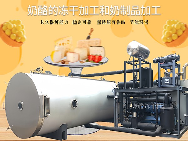 上海田楓奶酪凍干機(jī)成套設(shè)備和生產(chǎn)流程