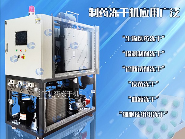 17066628447025.jpg 2.jpg